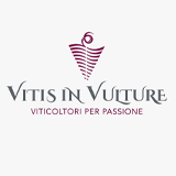 https://vitisinvulture.com/
